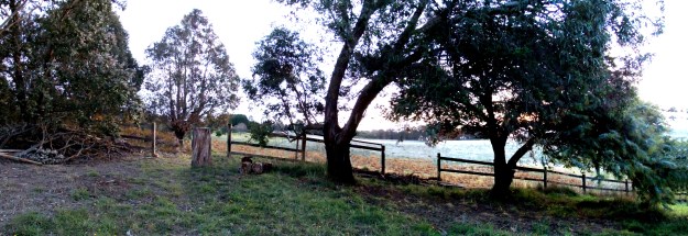 Thank God for the Firies