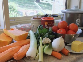 Winter Cook-Up - Soup Vegetables