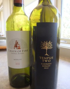 Sunday Musings - Meeting the Neighbours