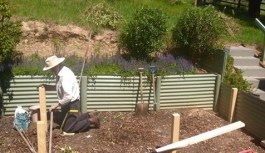 Making Veggie Garden - cropped