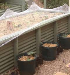 Planted Veggie Garden - Sunday Musings