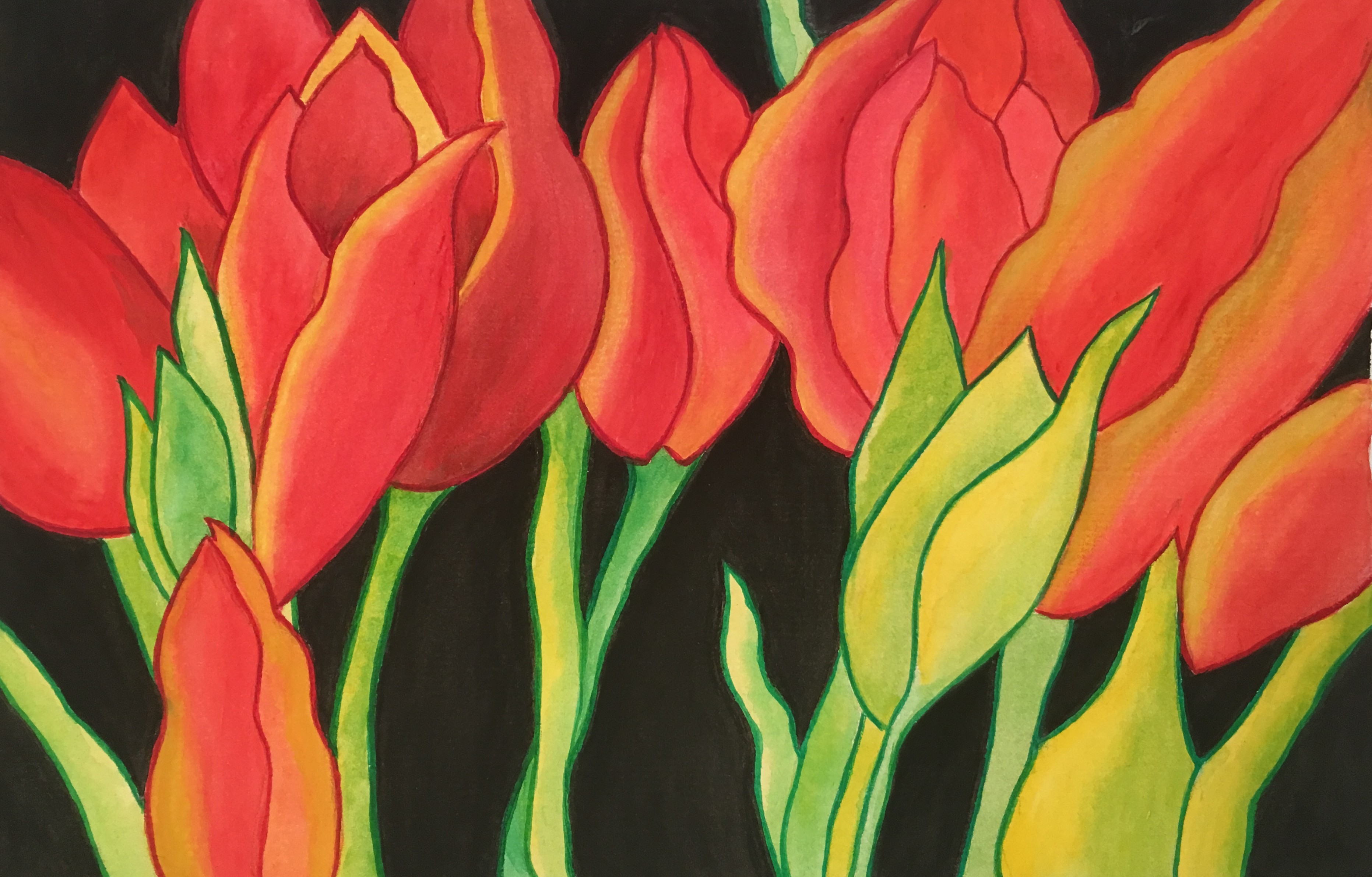 Tulips